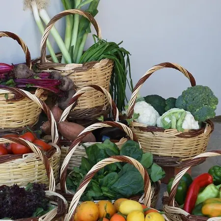 Kynara Boutique Village *