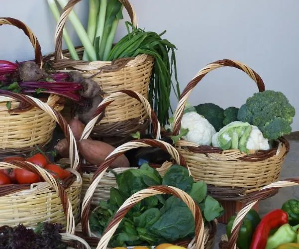 Kynara Boutique Village *